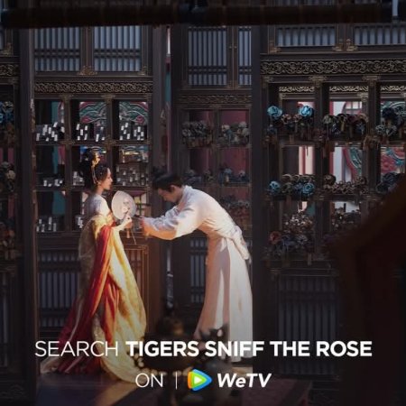 Tigers Sniff the Rose (2026)