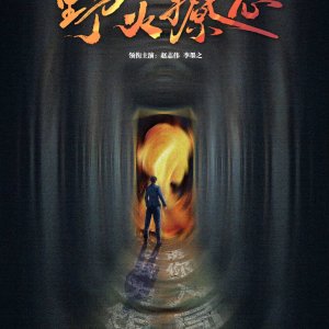 Ye Huo Liao Xin ()