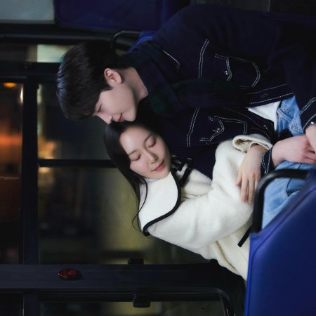 Law and the City (2025)