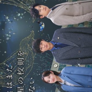 School Lawyer: Finding the Colors of the Stars (2025)