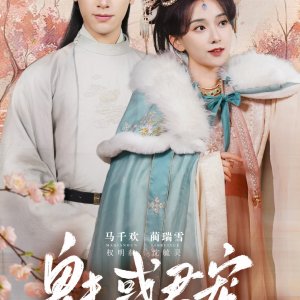 Charm Your Pet (2025)