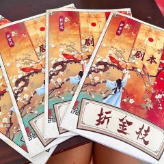 Zhe Jin Zhi Chinese Drama(2025) photo