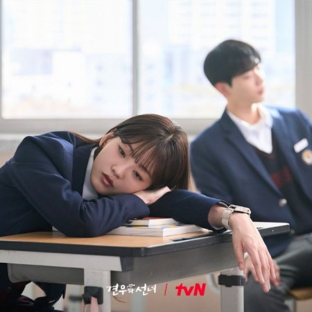 Head over Heels (2025)