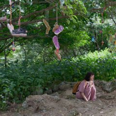 Route 29 Japanese Movie photo