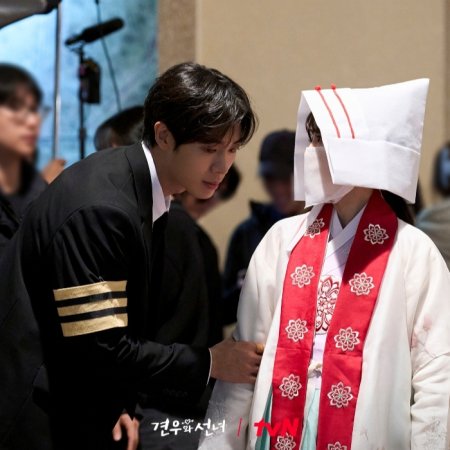 Head over Heels (2025)