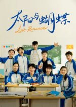 Lost Romance Chinese Drama(2025) photo