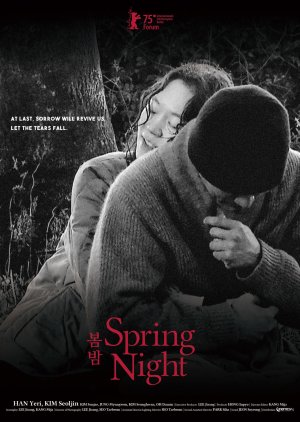 Spring Night (2024) poster
