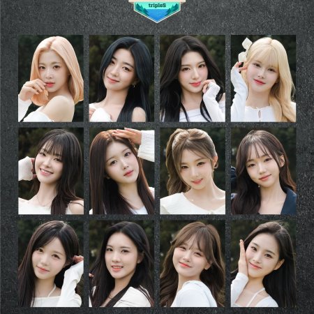 Badge War Season 3: No Badge No Power (2025)