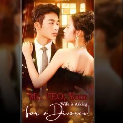 Fu Xian Sheng Fu Ren You Nao Li Hun Le Chinese Drama photo