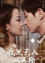 Fu Hei Fu Ren Sa You Liao Chinese Drama(2024) photo