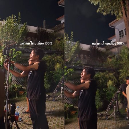 Revamp the Undead Story (2025)