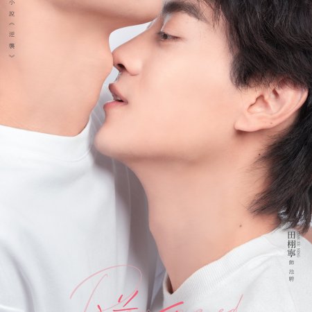 Revenged Love (2025)