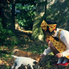 Midori: The Camellia Girl Japanese Movie photo