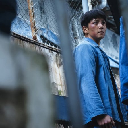 The Manipulated (2025)