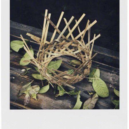 Fight for Love (2025)