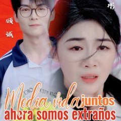 Ban Sheng Fu Qi Zhong Cheng Mo Lu Chinese Drama photo