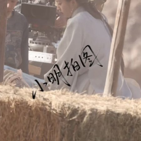 The Road to Splendor ()