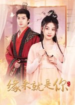 Yuan Lai Jiu Shi Ni Chinese Drama(2024) photo