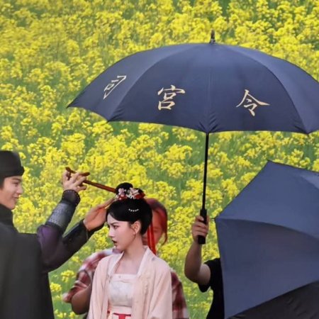 The Palace Stewardess ()