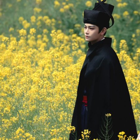 The Palace Stewardess ()