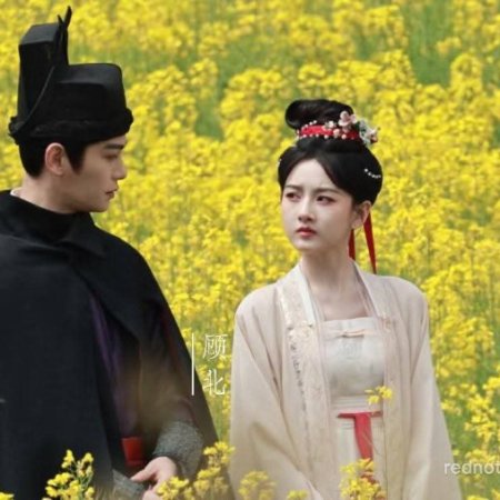 The Palace Stewardess ()