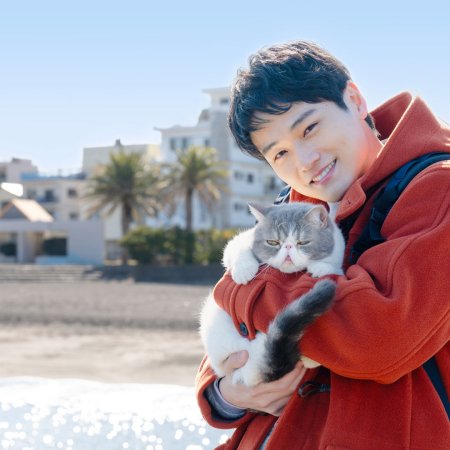 Tabi to Boku to Neko (2026)