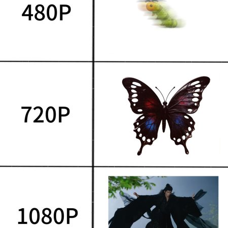 Veil of Shadows (2026)