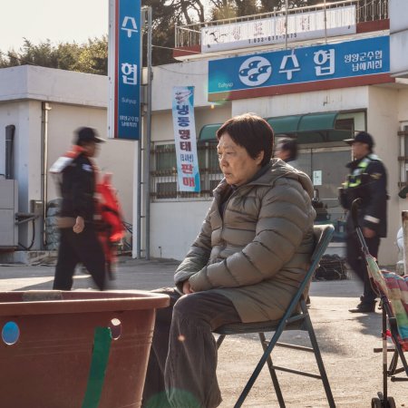 The Land of Morning Calm (2024)