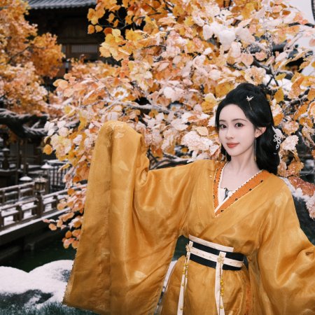 Meng Zi Yi
