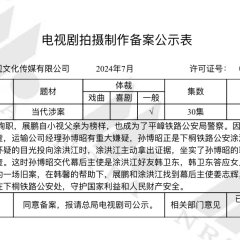 Double Track Puzzle Chinese Drama photo