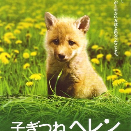 Helen the Baby Fox (2005)