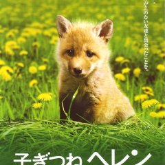 Helen the Baby Fox Japanese Movie photo