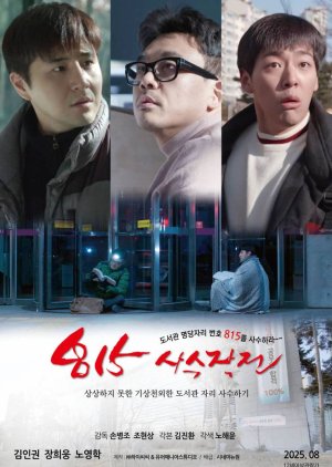 Fight for the Seat 815 (2025) poster