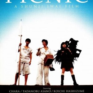 Picnic (1996)