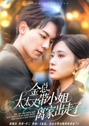 Mr. Jin, His Wife Has Run Away from Home with Her Young Lady Again (2025) poster