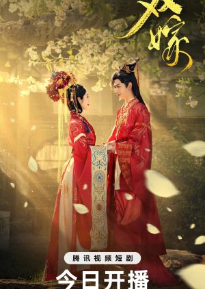 Bride Swap (2025) poster