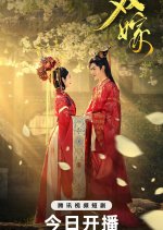 Bride Swap Chinese Drama(2025) photo