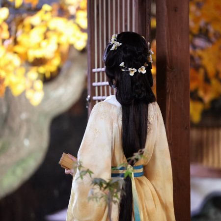 Blossoms of Power ()