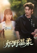 Chi Ye Wen Rou Chinese Drama(2025) photo