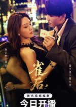Queen of Cards Chinese Drama(2025) photo