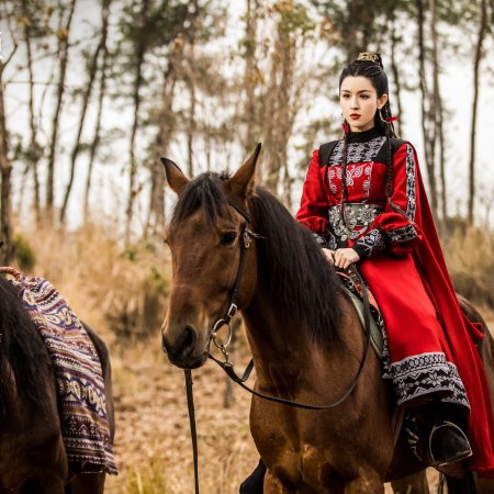 Duel on Mount Hua: Southern Emperor and Northern Beggar (2025)