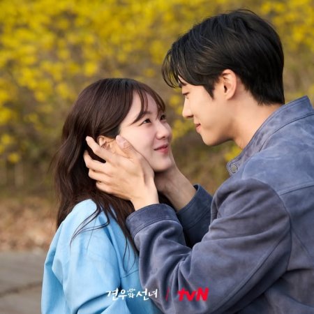 Head over Heels (2025)