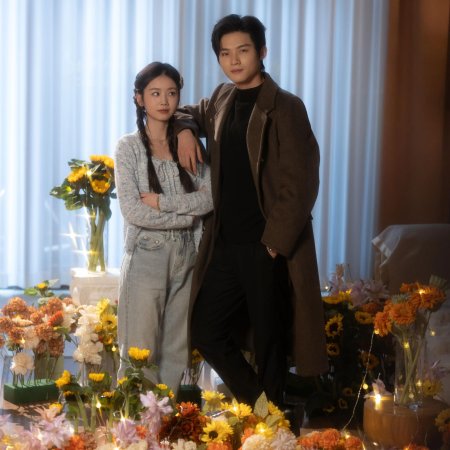 Love at a Glance (2025)