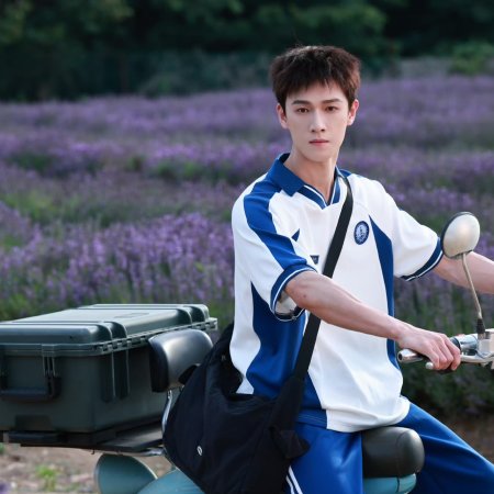 Dazzling (2026)