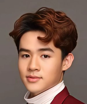 Teerawit Udomphokasub