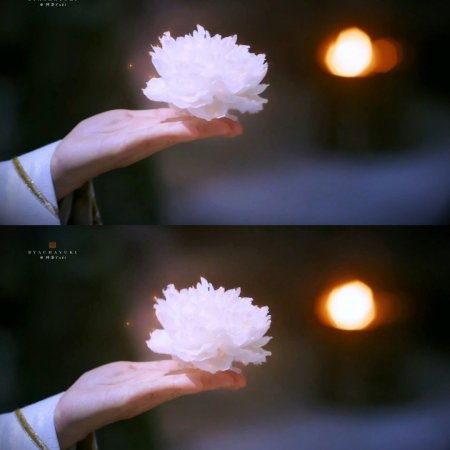 Love Never Fails (2025)