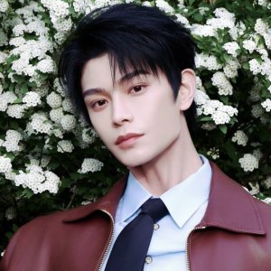 Guess the Ding Yuxi drama from his character!