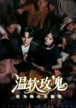 Wen Ruan Mei Gui Lun Wei Ta Xin Jian Pian Chong