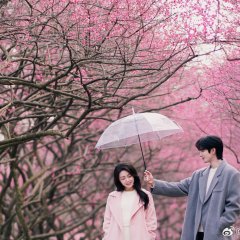 É Minha Luz Chinese Drama(2025) photo