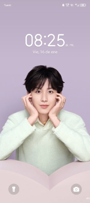Fu Shiqi 